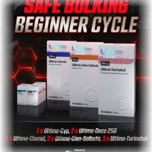 Safe Bulking Beginner Cycle